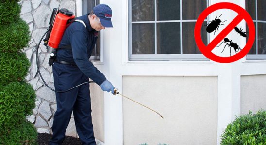 Çatalpınar Böcek İlaçlama böcek ilaçlama ve haşere kontrolü — ilaclama-tr.com